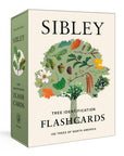 Sibley Tree Identification Flashcards