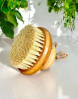 Bamboo Body Dry Brush | Faire Market Bestseller