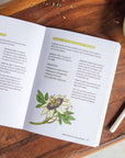 The Little Encyclopedia of Herbal Medicine: Herbal Remedies