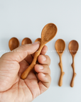 Twig Handle Wooden Spices Small Spoons - Measuring Spoons