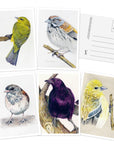 The Backyard Bird Chronicles: 50 Postcards by Amy Tan