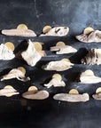 Driftwood and Hammered Brass Wall Sculpture