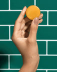 Mini Dip Conditioner & After Swim Detangler - Rose & Matcha
