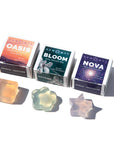 THE TRIO DELUXE FACE SAMPLE SET: OASIS, BLOOM, & NOVA