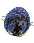 Tiger Cowrie Seashell Coin Purse - Shell Box