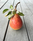 Island Pear Shrub 375ml