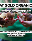 IMMUNE SHROOM a Potent, Functional & Delicious Chocolate Bar