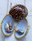 Tiger Cowrie Seashell Coin Purse - Shell Box