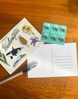Washington State Postcard | 4" x 6"