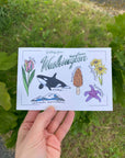 Washington State Postcard | 4" x 6"