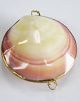 Polished Tigrina Clam Coin Purse - Shell Box