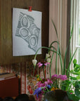 Screen Printed Gray Oysters Sponge Cloth - Stocking Stuffers