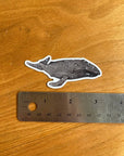 Gray Whale Watercolor Sticker
