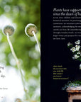 The Generosity Of Plants