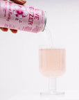 Hibiscus - Live Seltzer Water