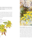 Wildflowers of the West