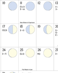 We'Moon on the Wall 2026 | Astrological Moon Phase Calendar