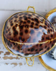 Tiger Cowrie Seashell Coin Purse - Shell Box