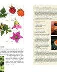 Edible Plants of the Pacific Northwest