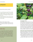 Pacific Harvest: A Northwest Coast Foraging Guide