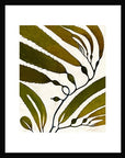 Seaweed Pring