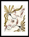 Seaweed Pring
