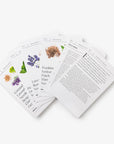 Essential Oils Recipes