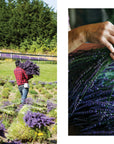 Lavender: 50 Self-Care Recipes and Projects for Wellness