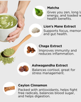 Wonder Matcha — Functional Matcha w Mushrooms & Adaptogens