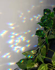 When the Sun Comes Suncatcher