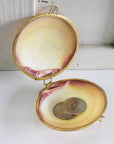 Polished Tigrina Clam Coin Purse - Shell Box