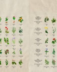 Astro Herbalism