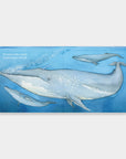 If I Were a Whale: A Board Book for Toddlers