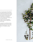 Healing Power of Flowers by Claire Bowen