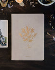 Magic of I Botanical Journal