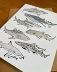Watercolor Shark Card