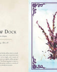 Wild Medicine: Illustrated Guide to the Magick of Herbs