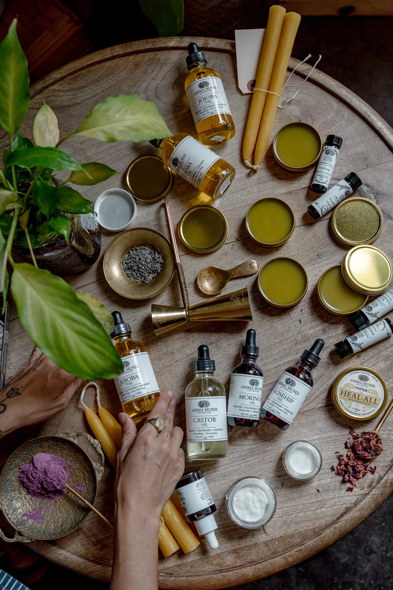 Botanical Skincare - Natural Plant-Based Beauty