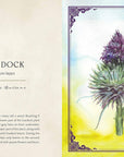 Wild Medicine: Illustrated Guide to the Magick of Herbs