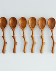Twig Handle Wooden Spices Small Spoons - Measuring Spoons