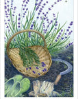 The Herbcrafter’s Tarot