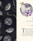 Moon Apothecary by Lorriane Anderson
