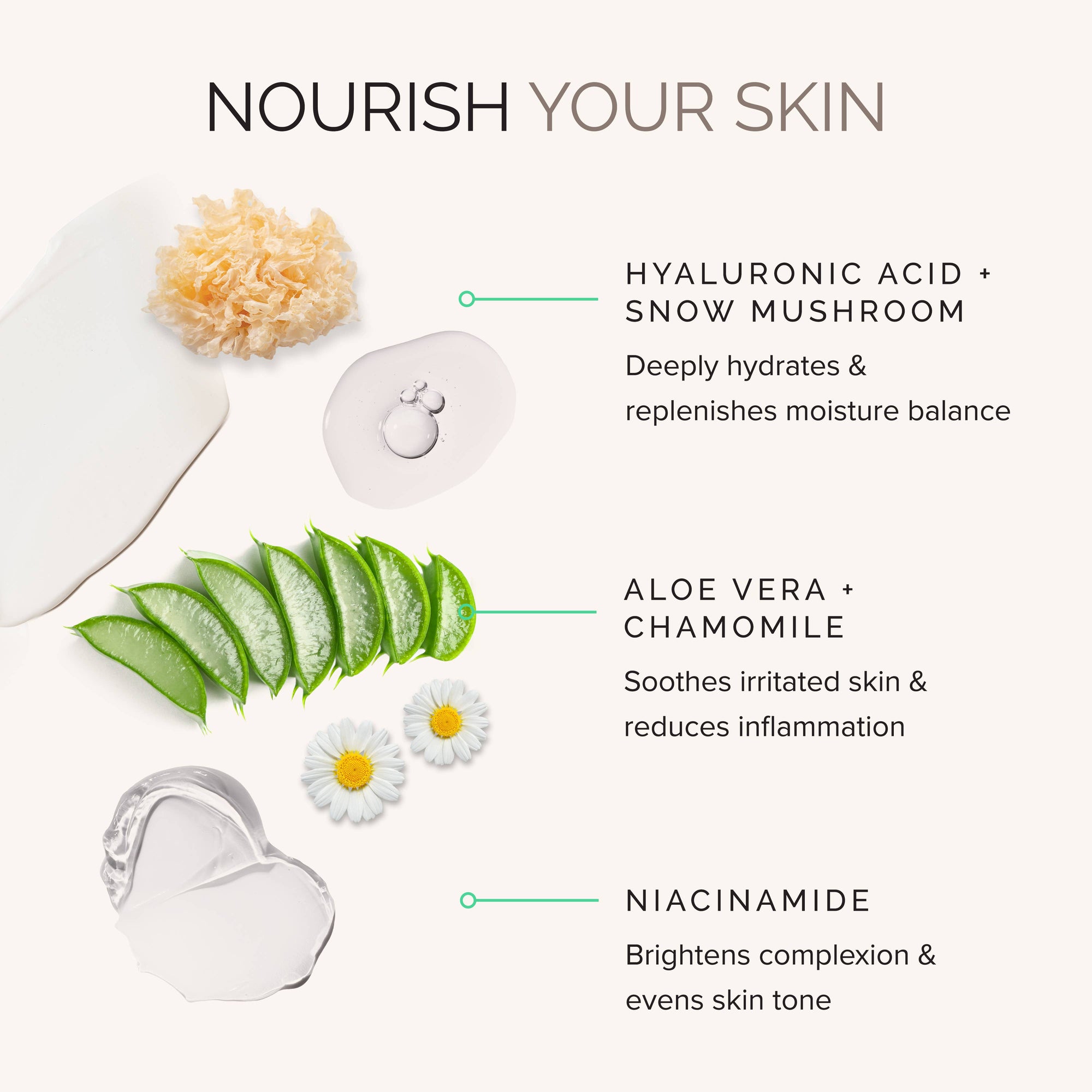 Daily Perfecting Moisturizer SPF 30 | Anti-aging Daily SPF