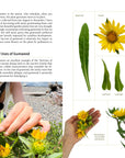 Medicinal Plants of the Pacific Northwest