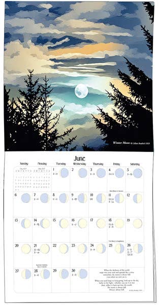 *** We'Moon on the Wall 2027 | Astrological Moon Phase Calendar