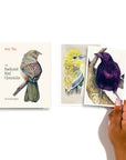 The Backyard Bird Chronicles: 50 Postcards by Amy Tan