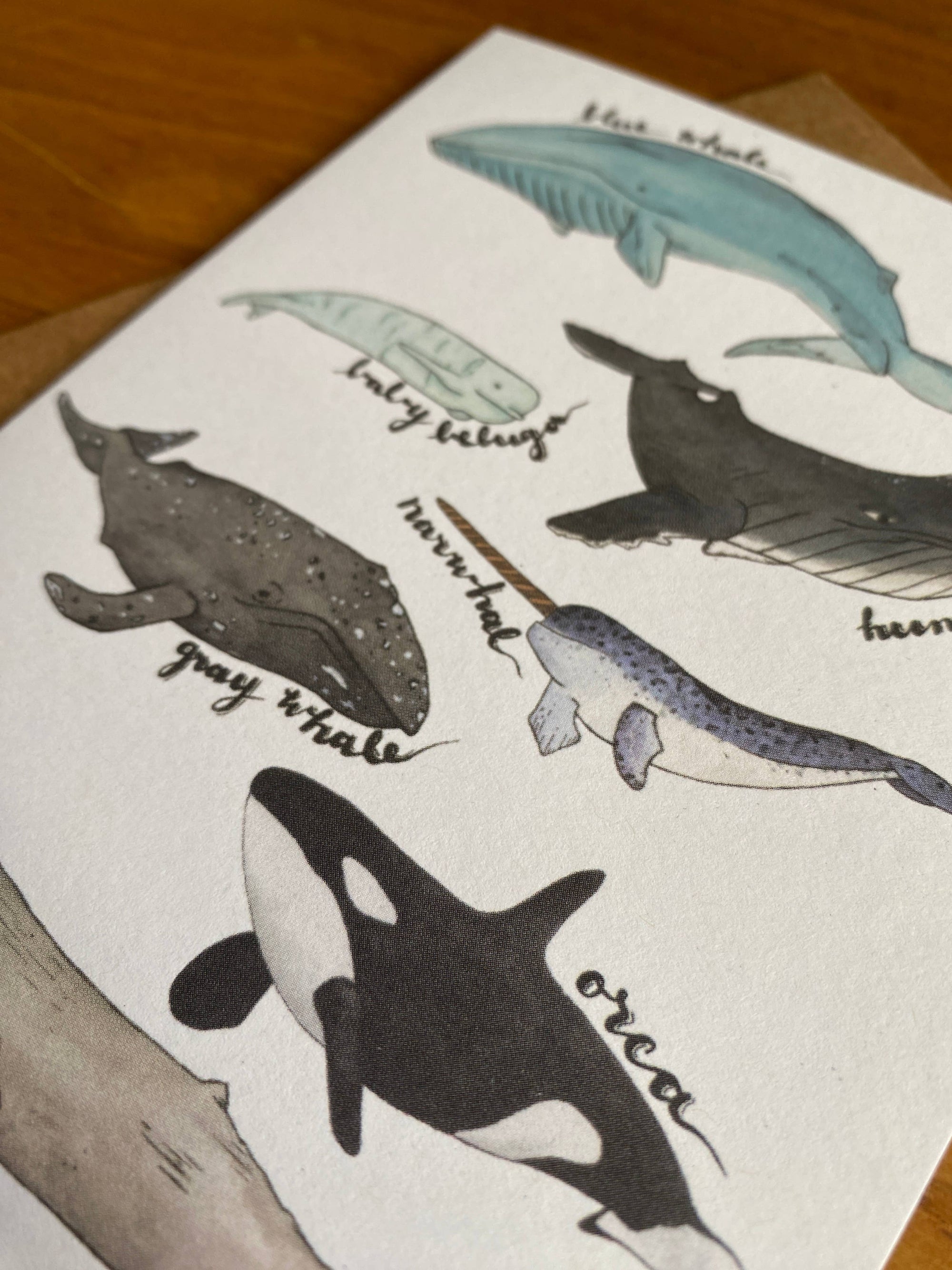 Watercolor Whale Card
