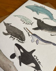 Watercolor Whale Card
