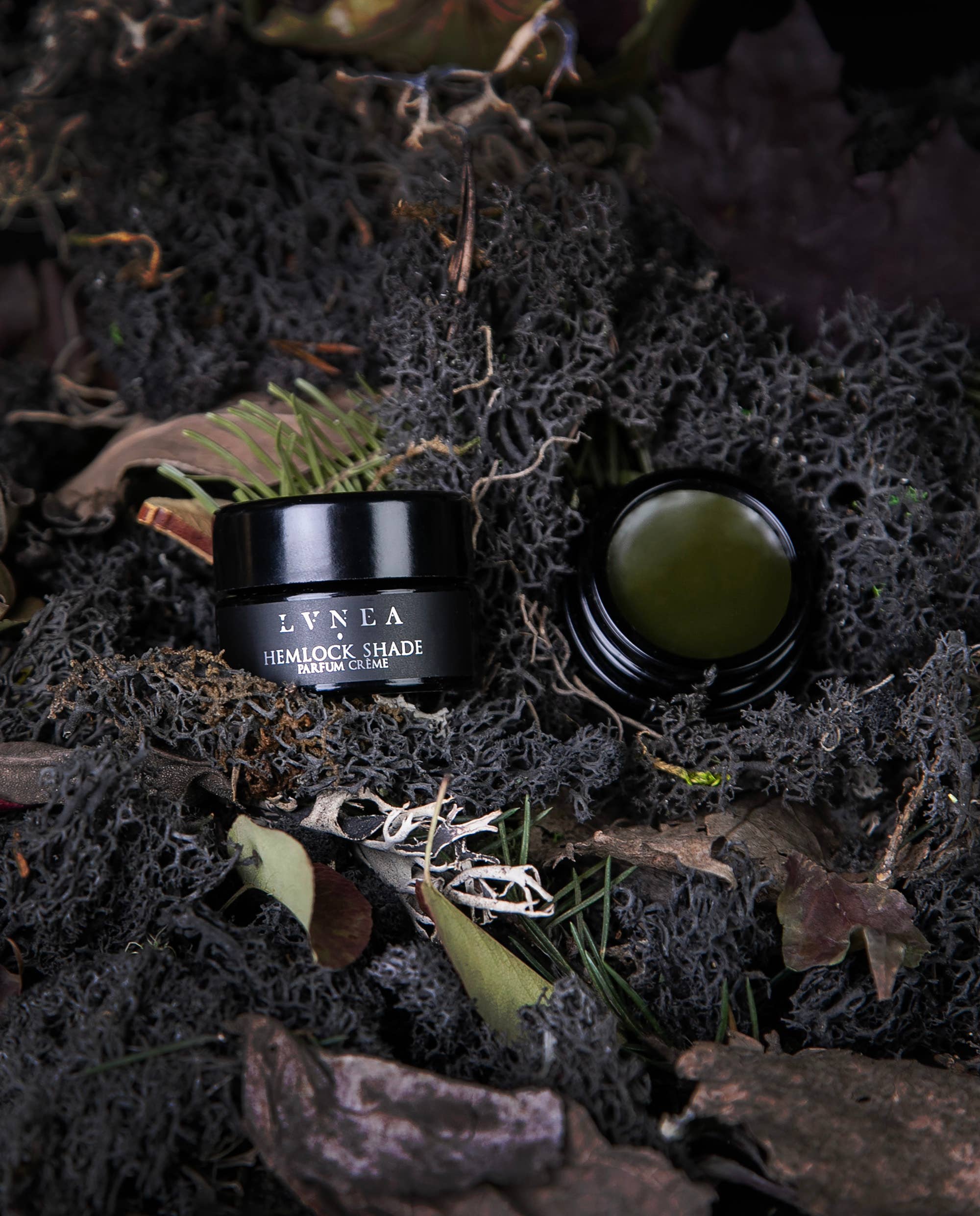 HEMLOCK SHADE Solid Perfume | Hemlock, black spruce, vetiver