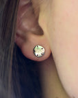 Sand Dollar Stud Earrings
